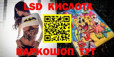 стафф Заводоуковск