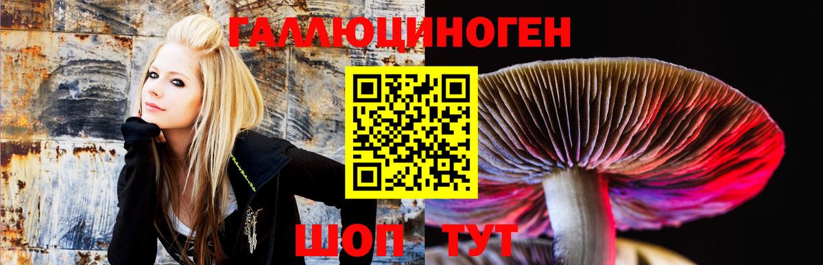 Псилоцибиновые грибы Psilocybine cubensis Лянтор